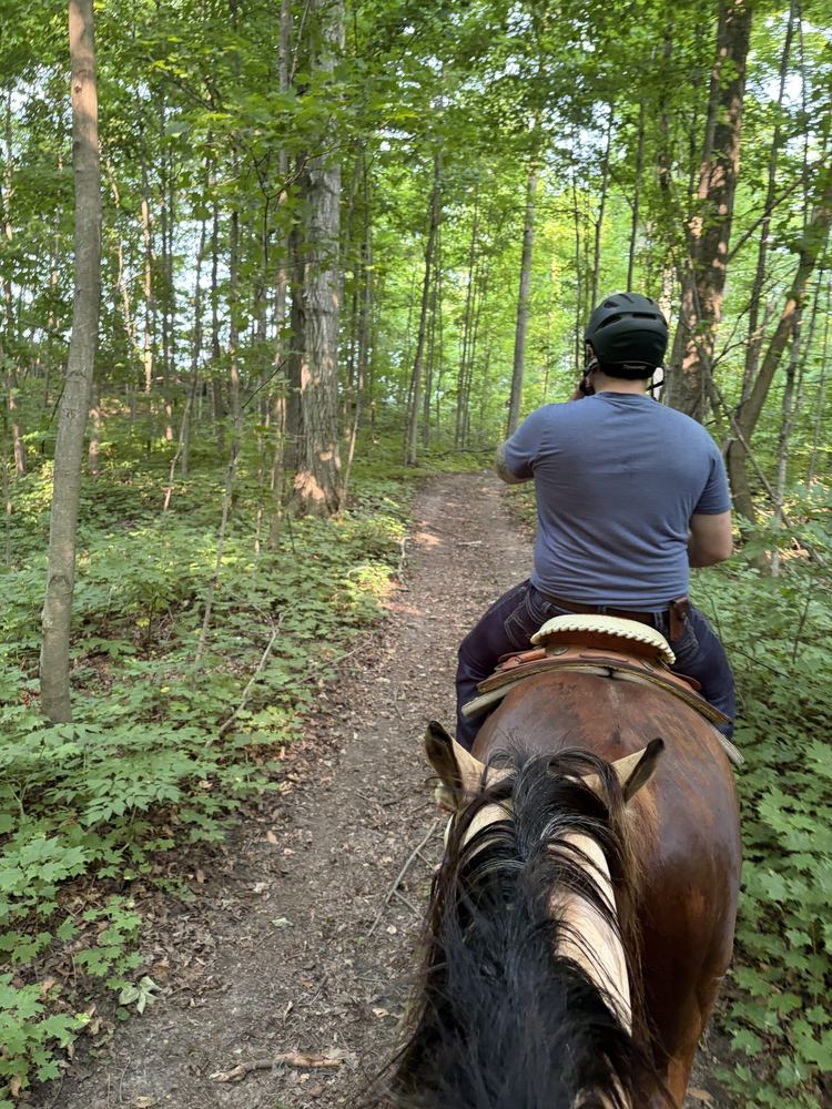 Trail through the woods